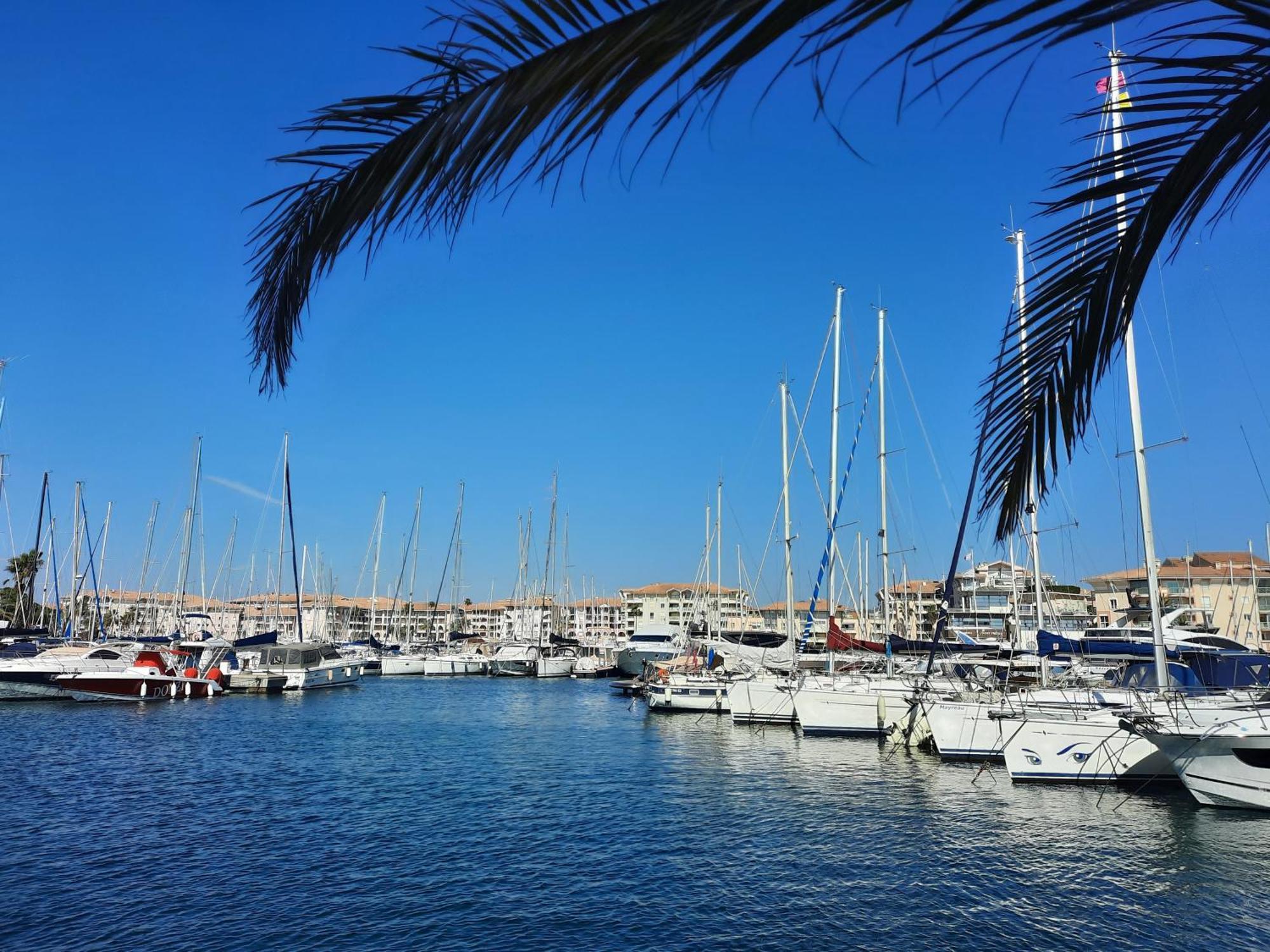Coeur Marina Climatise Terrasse Parking Apartamento Fréjus Exterior foto